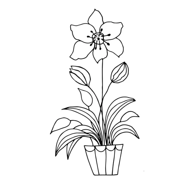 Cute hand drawn flower plant in pot. Doodle vector illustration. — ストックベクタ