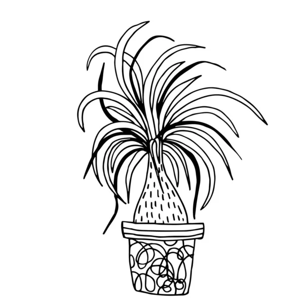 Cute hand drawn flower plant in pot. Doodle vector illustration. — Stock Vector