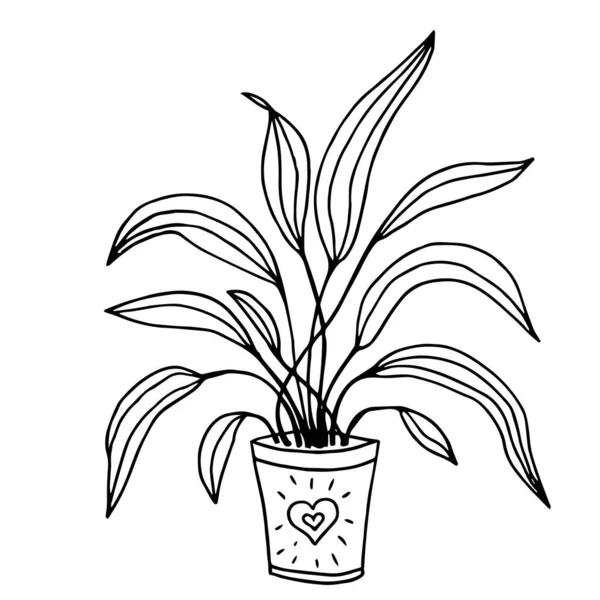 Linda planta de flores dibujadas a mano en maceta. Ilustración vectorial de Doodle . — Vector de stock