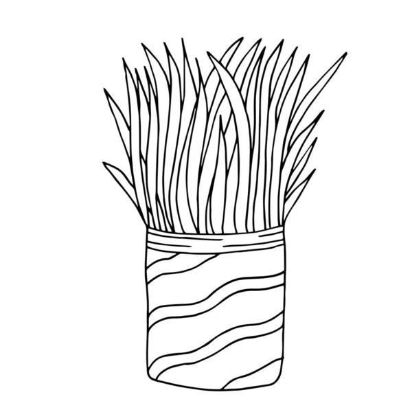 Cute hand drawn flower plant in pot. Doodle vector illustration. — Stockvector