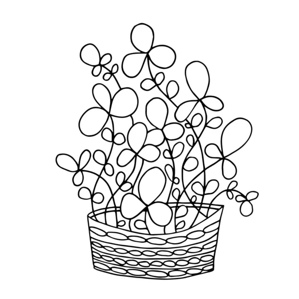 Cute hand drawn flower plant in pot. Doodle vector illustration. — ストックベクタ