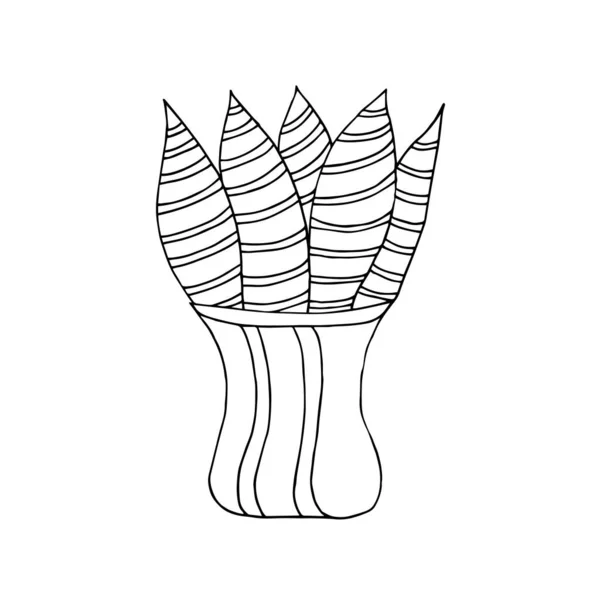 Cute hand drawn flower plant in pot. Doodle vector illustration. — Stock vektor