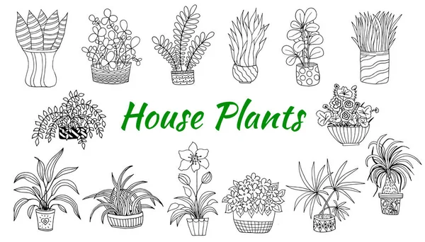 Carino set disegnato a mano di vasi di fiori. Doodle vettoriale illustrazione casa piante per i vostri disegni . — Vettoriale Stock
