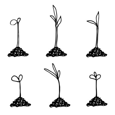 Tohumlar karalıyor. El çizimi karalama bahçesi vektör çizimi.