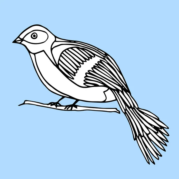 Oiseau décoratif dessiné à la main isolé sur bleu clair. Un oiseau est assis sur une branche. Illustration vectorielle de doodle . — Image vectorielle