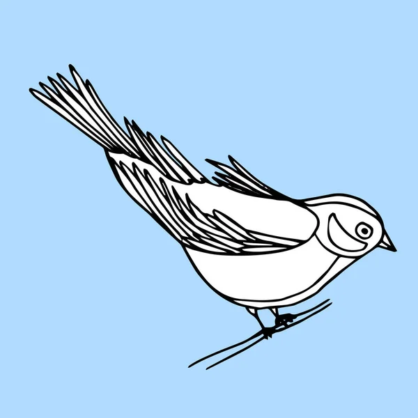 Ручной рисунок декоративной птицы выделен на светло-голубом. Птица сидит на ветке. Векторные каракули . — стоковый вектор