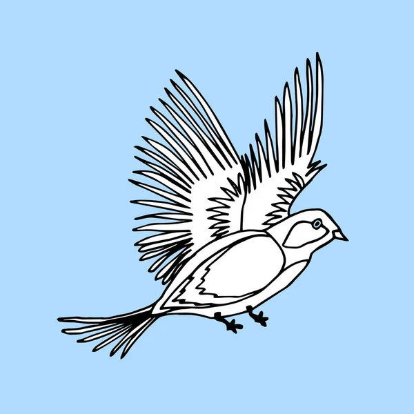 Handgezeichneter Vogel im Doodle-Stil. Der Vogel fliegt isoliert auf hellblau. Vektorkritzelillustration. — Stockvektor