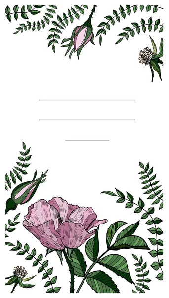 Carte de vœux élégante avec des roses sauvages. Carte postale avec des fleurs roses. Conception vectorielle de mariage . — Image vectorielle
