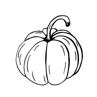 El çizimi sanat illüstrasyonu. Sağlıklı yiyecekler çiziyorum, balkabağı. Vektör grafiği.