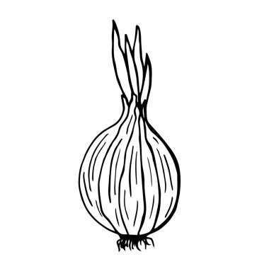 El çizimi sanat illüstrasyonu. Sağlıklı yiyecekler çiziyorum, soğan. Vektör grafiği.