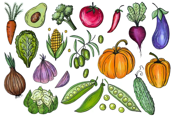 Zestaw świeżych ręcznie rysowanych warzyw. Rysuję zdrową żywność. Ilustracje znaczników. — Zdjęcie stockowe