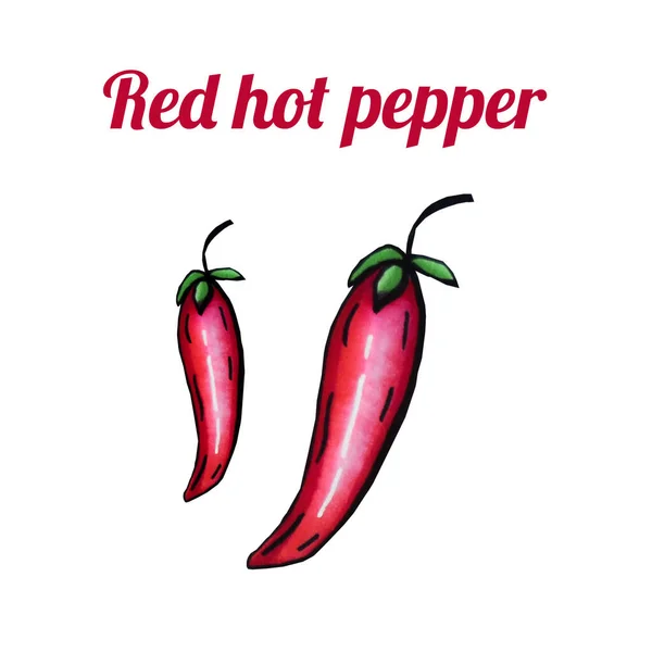 Pimenta vermelha picante fresca desenhada à mão. A desenhar comida saudável. Ilustrações de marcadores . — Fotografia de Stock