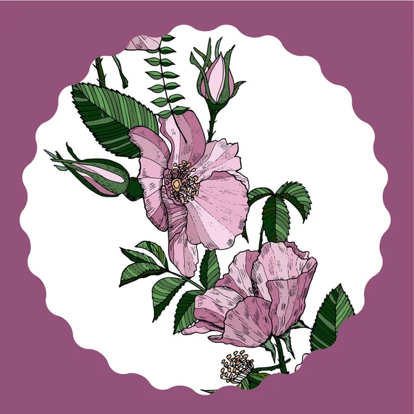 Elegant blomsterkort med vilda rosor. Mugg stå med rosa blommor. Vektorns utformning. — Stock vektor