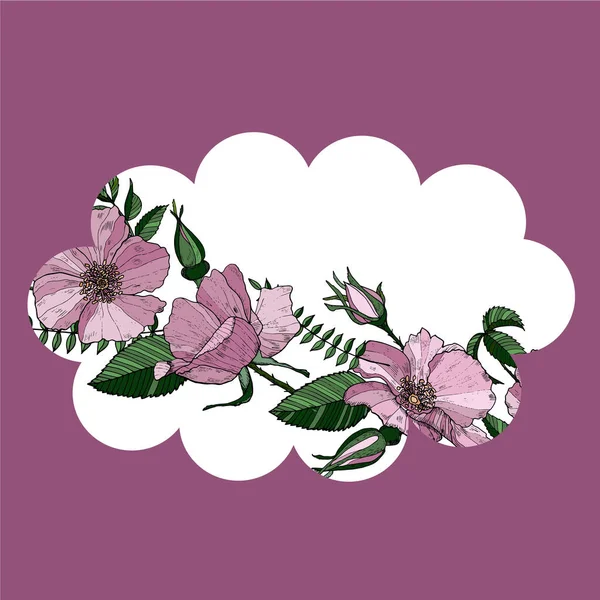 Elegant blommig etikett med vilda rosor. Bunt med rosa blommor. Vektorns utformning. — Stock vektor