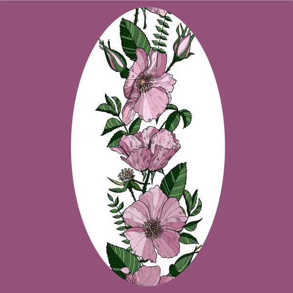 Elegant blommig etikett med vilda rosor. Bunt med rosa blommor. Vektorns utformning. — Stock vektor