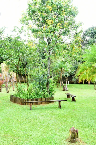 Vacker trädgård med kokosnötsträd grönt gräs — Stockfoto