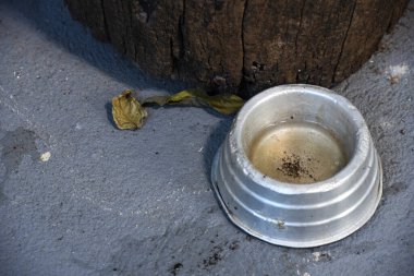 İçinde durgun su olan bir vazoda terk edilmiş metal kase. Manzarayı kapat. Potansiyel üreme alanında sivrisinekler