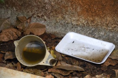 İçinde durgun su olan bir vazoda terk edilmiş plastik bir kase. Manzarayı kapat. Potansiyel üreme alanında sivrisinekler
