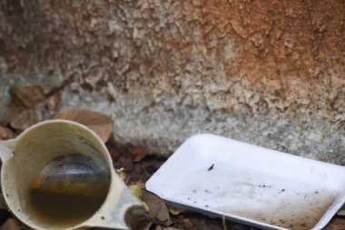İçinde durgun su olan bir vazoda terk edilmiş plastik bir kase. Manzarayı kapat. Potansiyel üreme alanında sivrisinekler