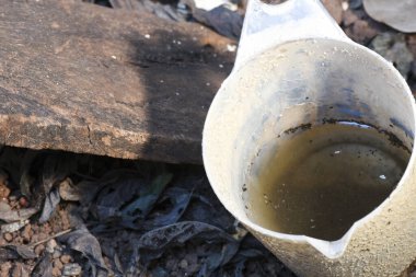 İçinde durgun su olan bir vazoda terk edilmiş plastik bir kase. Manzarayı kapat. Potansiyel üreme alanında sivrisinekler