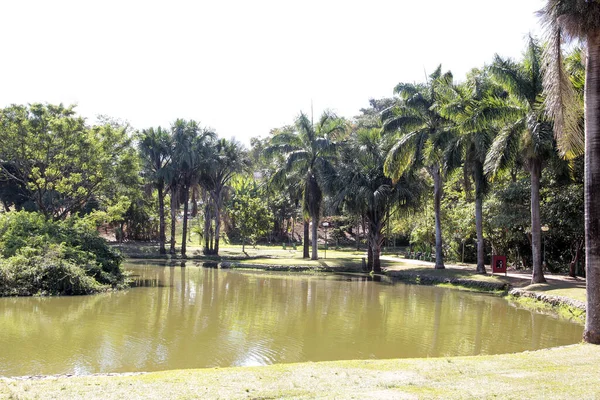 Park Mit See Und Brunnen Und Stadt Hintergrund — Stockfoto