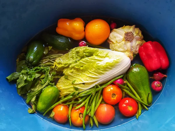 Légumes Naturels Intérieur Bassin Avec Eau Pour Nettoyage Assainissement — Photo