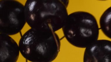 Yavaş uçan kirazlar. Sarı arka planda kiraz