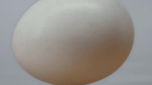 Huevo girando de cerca. Huevo de pollo girando sobre fondo blanco. Huevo girando y rodando sobre el fondo blanco . — Vídeo de stock