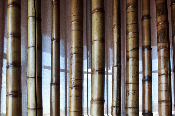 texture of bamboo. bamboo wall in the interior.
