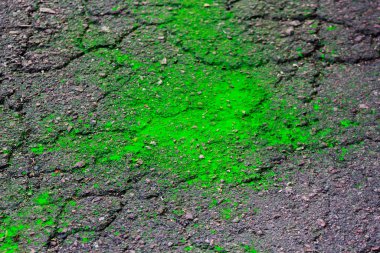 yumuşak, bulanık fotoğraf - arkaplan resmi. Gri asfaltta parlak neon yeşil nokta.