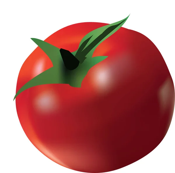 Saftig Mogen Röd Tomat Vit Bakgrund Illustration — Stockfoto