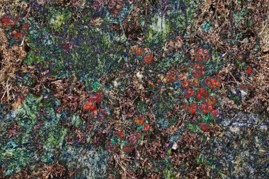 Sonbahar temasının soyut arkaplanı. Akçaağaç yaprakları, kurumuş çiçekler, rovan yaprakları, böğürtlen ve diğer doğal bitki unsurları, fantezi çizimi, kurgusal illüstrasyon, bilgisayar grafikleri