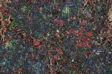 Sonbahar temasının soyut arkaplanı. Akçaağaç yaprakları, kurumuş çiçekler, rovan yaprakları, böğürtlen ve diğer doğal bitki unsurları, fantezi çizimi, kurgusal illüstrasyon, bilgisayar grafikleri