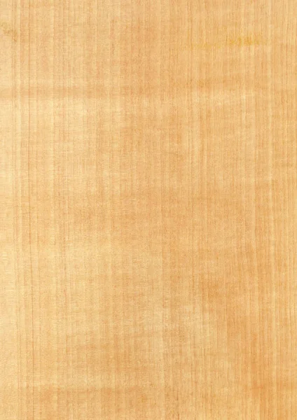 Primer Plano Grano Madera Natural Real Fondo Chapa Textura Patrón —  Fotos de Stock