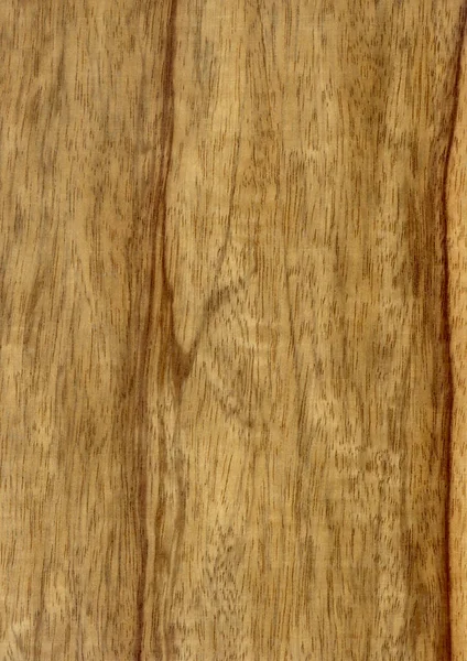 Nahaufnahme Echtes Naturholz Maserung Furnier Hintergrund Und Struktur Muster Für — Stockfoto