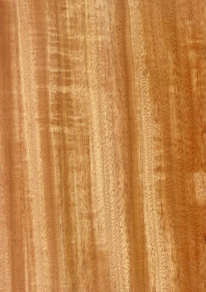 Primer Plano Grano Madera Natural Real Fondo Chapa Textura Patrón —  Fotos de Stock