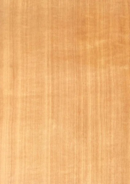 Крупним Планом Реальні Натуральні Деревні Зерна Шпону Фону Текстури Візерунок — стокове фото