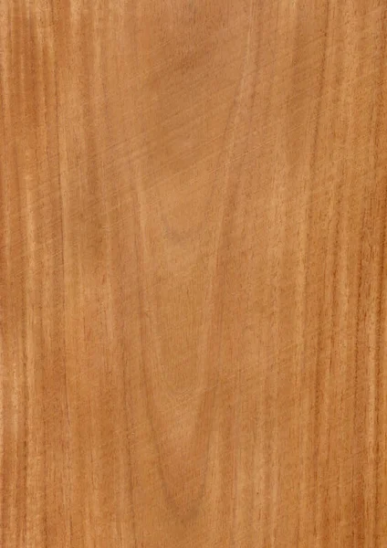 Closeup Real Natural Wood Grain Veneer Background Texture Pattern Decoration — Stock Photo, Image