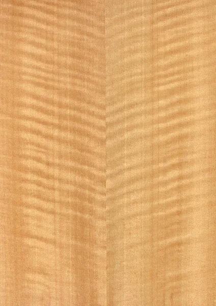 Closeup Real Natural Wood Grain Veneer Background Texture Pattern Decoration — Stock Photo, Image