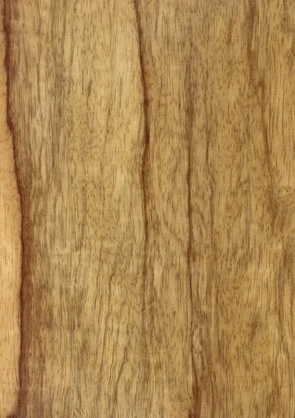 Closeup Real Natural Wood Grain Veneer Background Texture Pattern Decoration Stock Picture