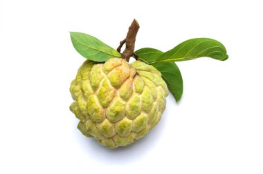 Yeşil yapraklı elma şekeri veya kremalı egzotik tropikal Thai annona veya beyaz arka planda izole edilmiş Cherimoya meyvesi.. 