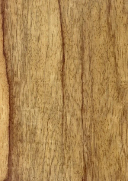Closeup Real Natural Wood Grain Veneer Background Texture Pattern Decoration — Stock Photo, Image