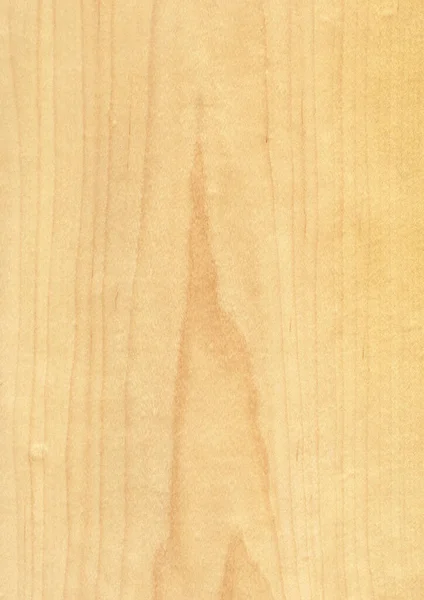 Primer Plano Grano Madera Natural Real Fondo Chapa Textura Patrón —  Fotos de Stock