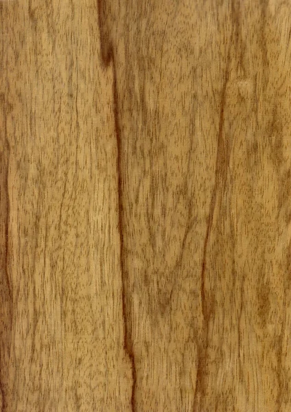 Primer Plano Grano Madera Natural Real Fondo Chapa Textura Patrón —  Fotos de Stock