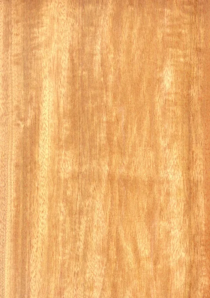 Primer Plano Grano Madera Natural Real Fondo Chapa Textura Patrón —  Fotos de Stock