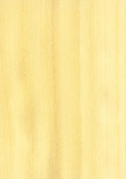 Close Real Natural Wood Grain Veneer Background Texture Pattern Decoration — стоковое фото