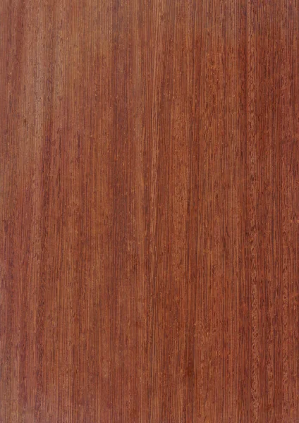 Detailní Skutečné Přírodní Dřevo Zrna Dýhy Pozadí Textury Vzor Pro — Stock fotografie