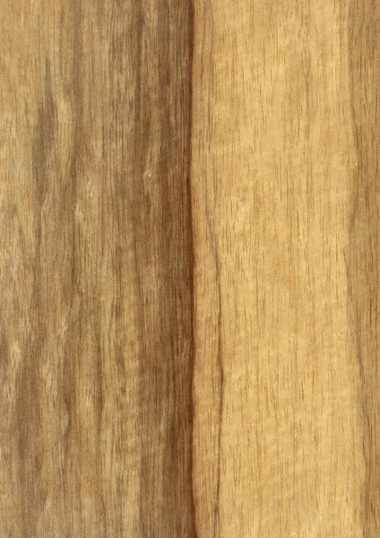 木质部木质部木质部木质部木质部木质部木质部木质部木质部木质部木质部木质部木质部木质部木质部木质部木质部 用于设计的空白 用于选用材料意式装饰家具表面 异质贴面材料 — 图库照片