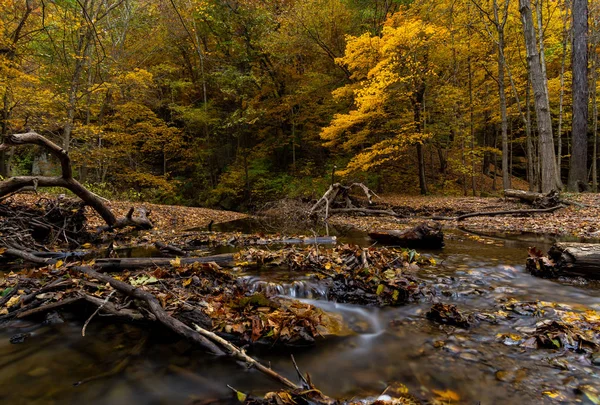 Autumn in Starved Rock — Stock Photo, Image