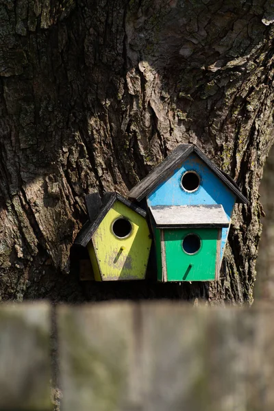 Weerbestendig Houten Vogelhuisje Aan Boom Eigen Tuin — Stockfoto